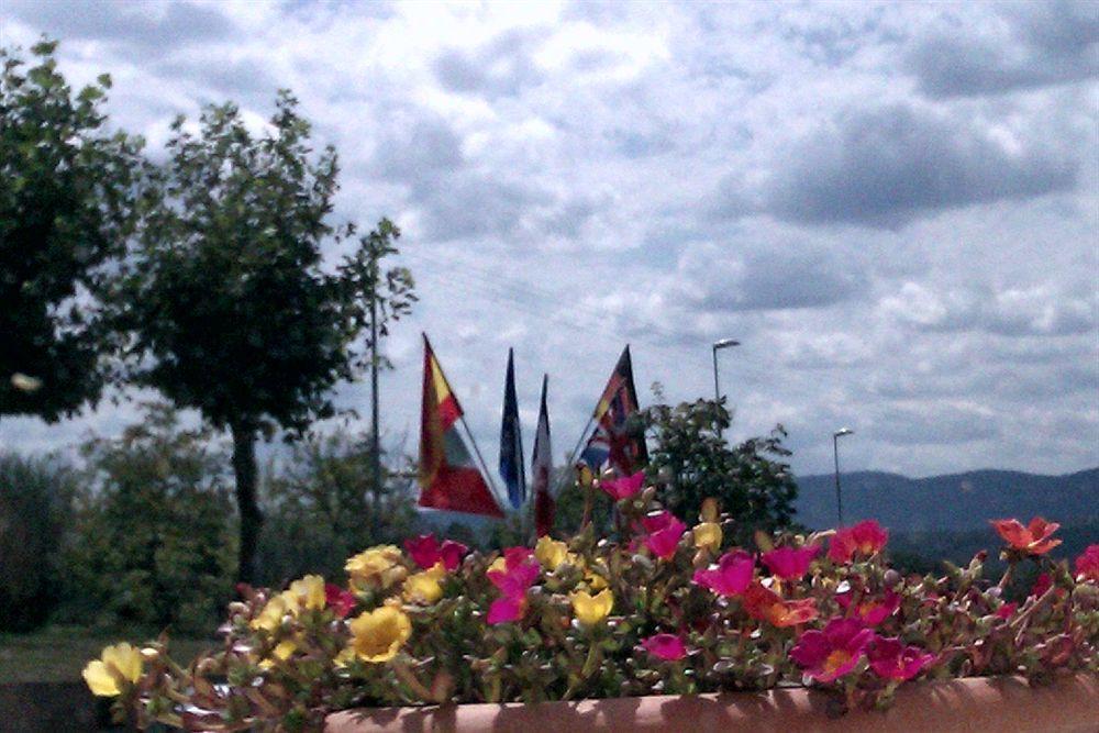 I Platani 3*